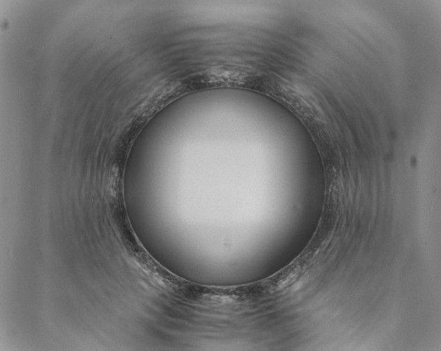 X0000088460649200706121505