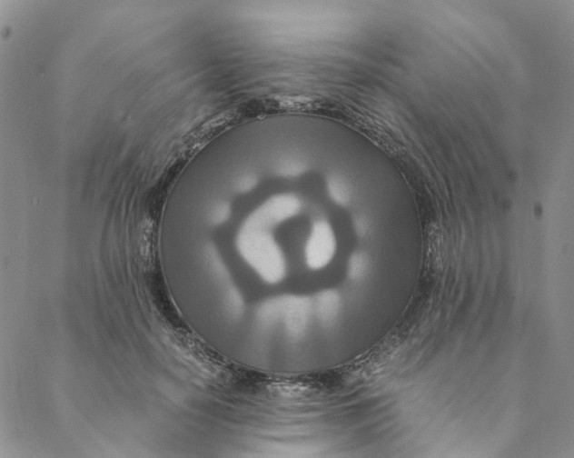 X0000088460650200706121505