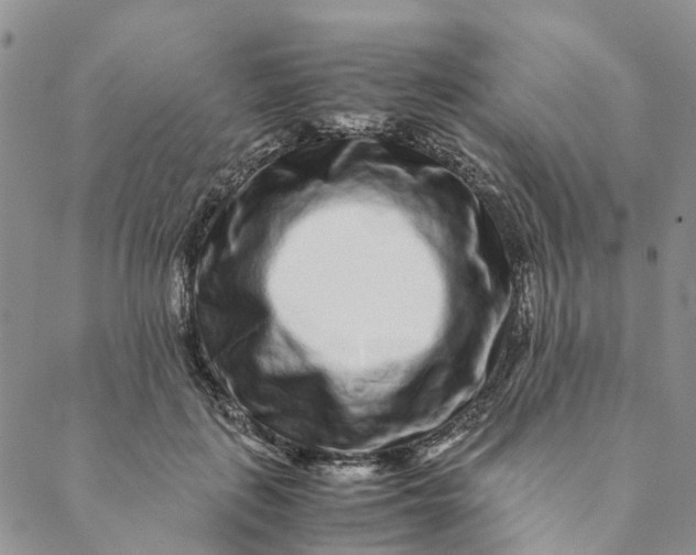 X0000088460651200706121505