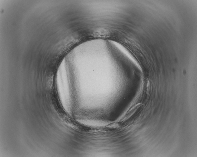 X0000088460652200706121505