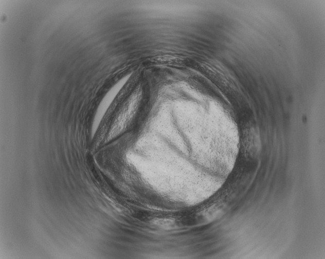 X0000088460653200706121505