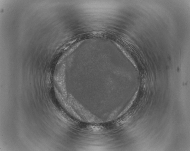 X0000088460654200706121505