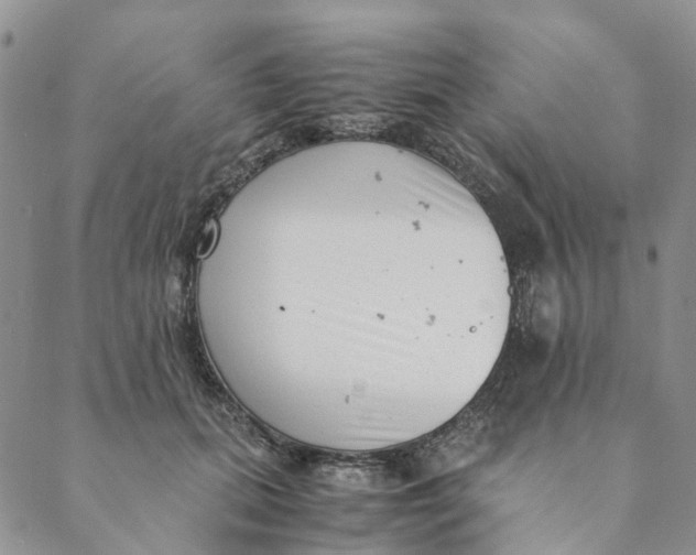 X0000088460655200706121505