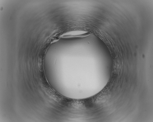 X0000088460656200706121505