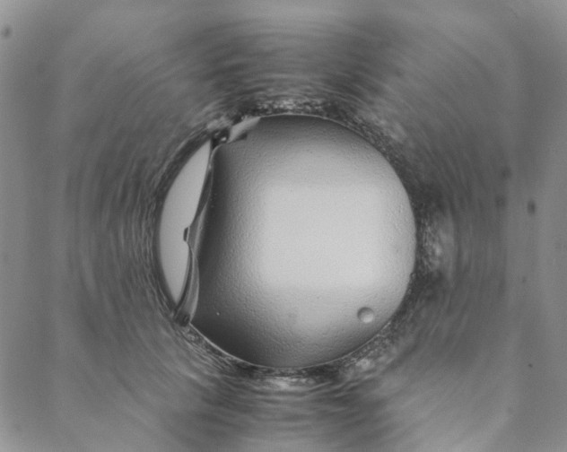 X0000088460657200706121505