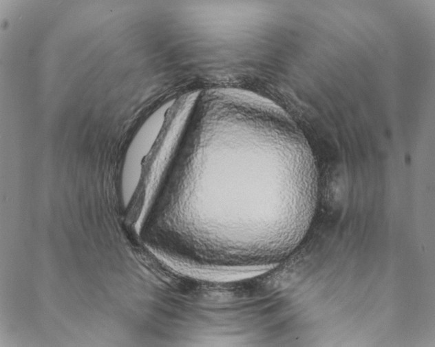 X0000088460658200706121505