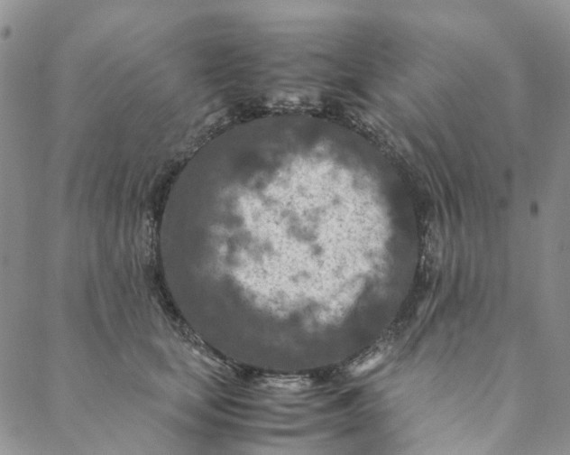 X0000088460659200706121505