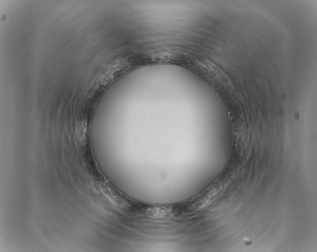 X0000088460660200706121505