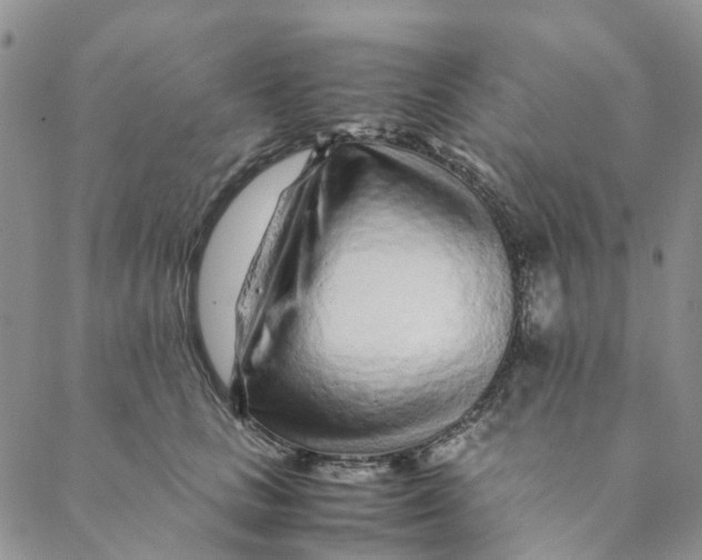 X0000088460661200706121505