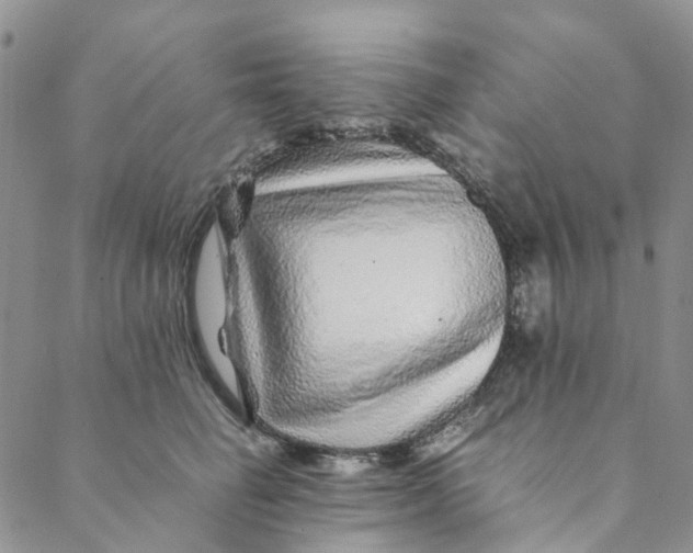 X0000088460662200706121505