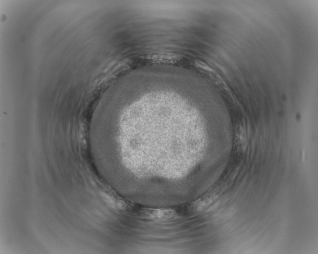 X0000088460663200706121506