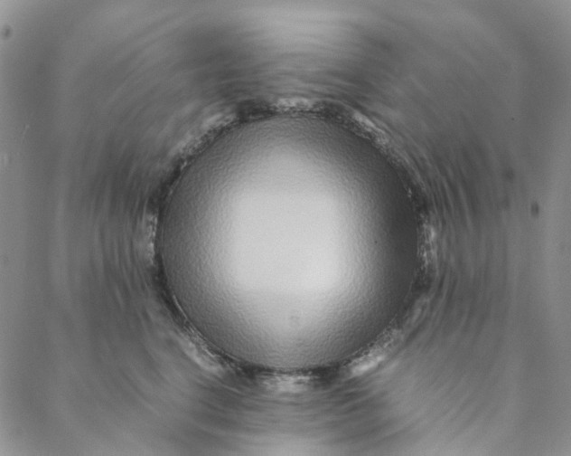 X0000088460664200706121506