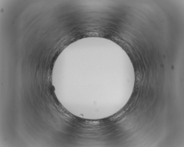 X0000088460665200706121506