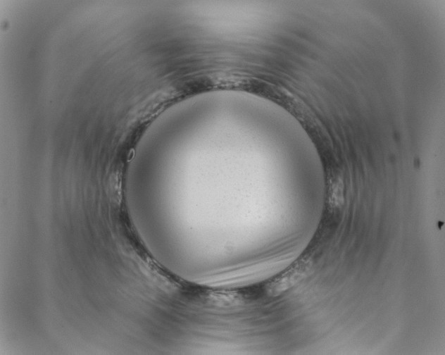 X0000088460666200706121506