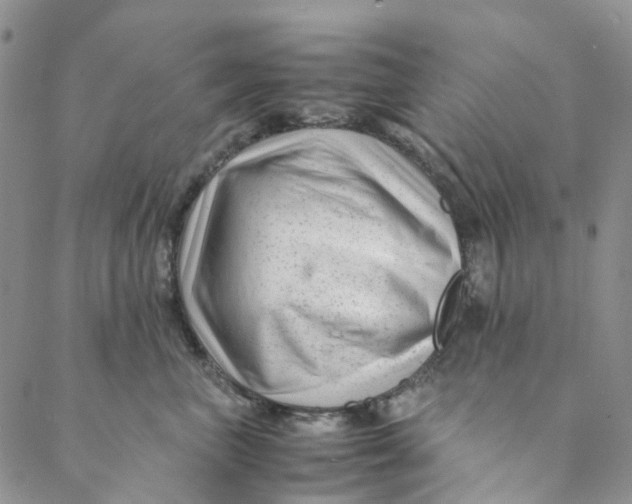 X0000088460667200706121506