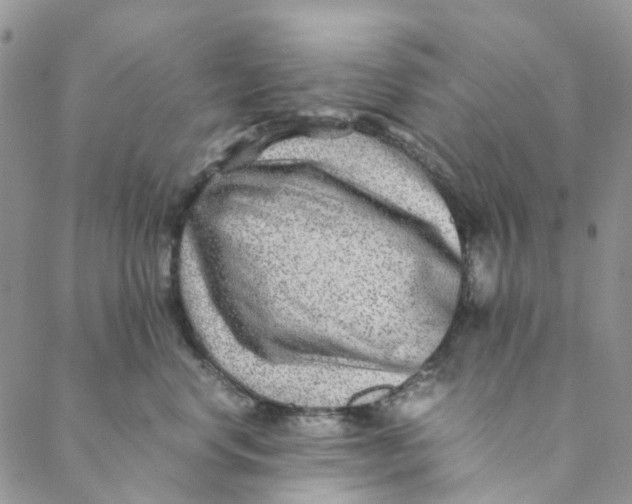 X0000088460668200706121506