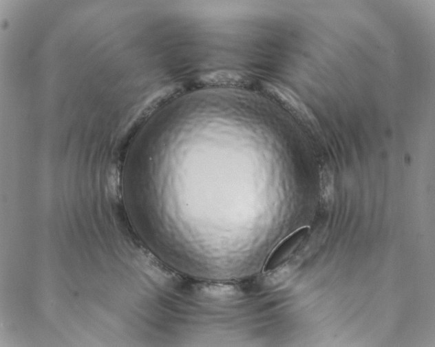 X0000088460669200706121506