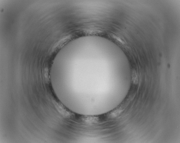 X0000088460670200706121506