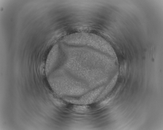 X0000088460671200706121506