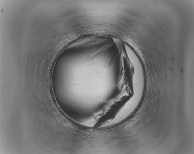 X0000088460673200706121505