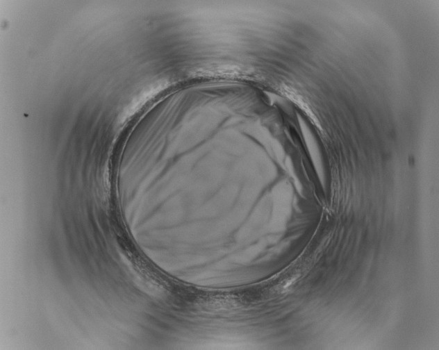 X0000088460674200706121505