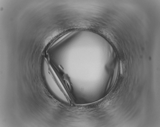 X0000088460675200706121505