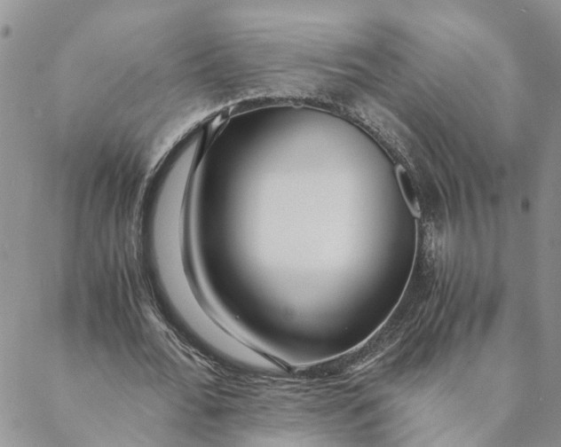 X0000088460676200706121505