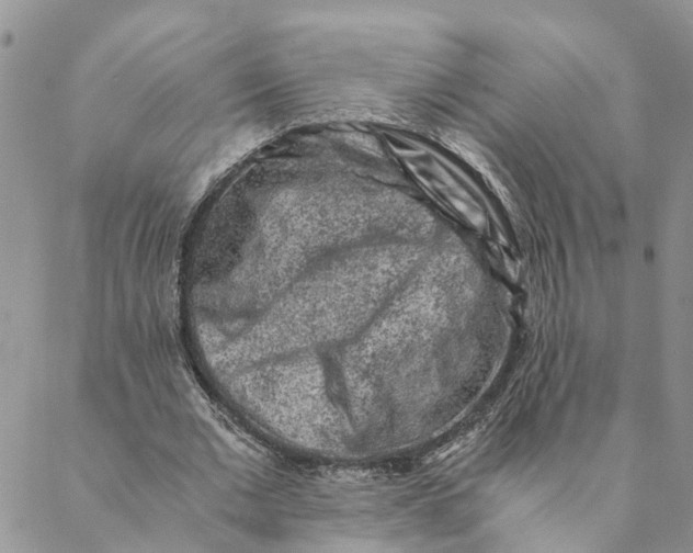 X0000088460677200706121505