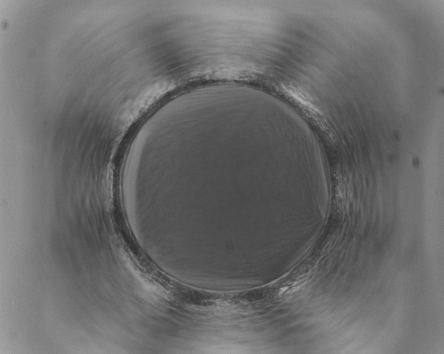 X0000088460678200706121505