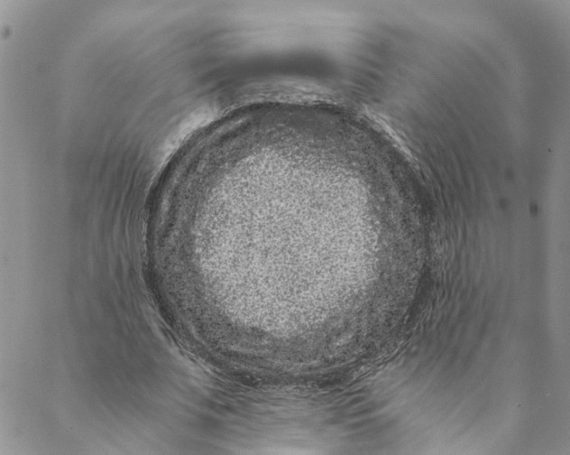 X0000088460679200706121505