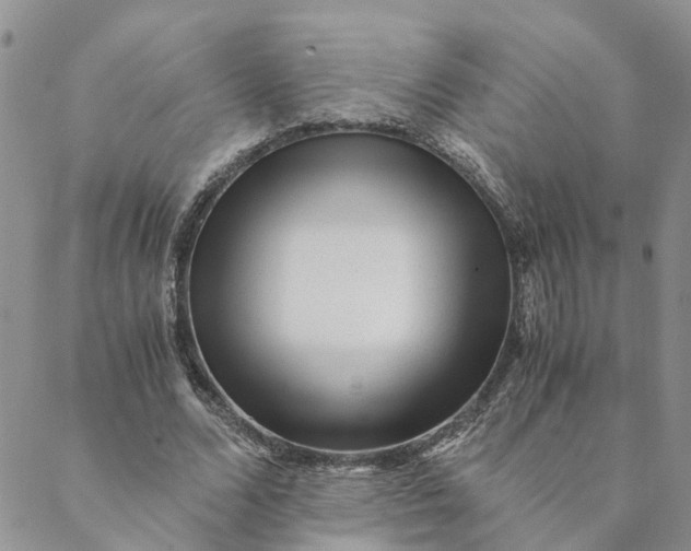 X0000088460680200706121505