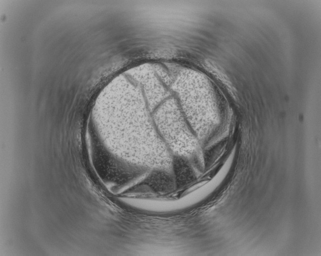 X0000088460681200706121505