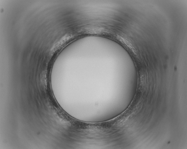 X0000088460682200706121505