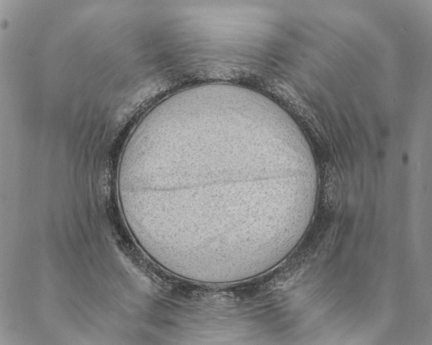 X0000088460683200706121505