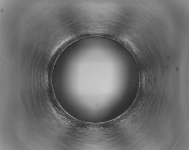 X0000088460684200706121505