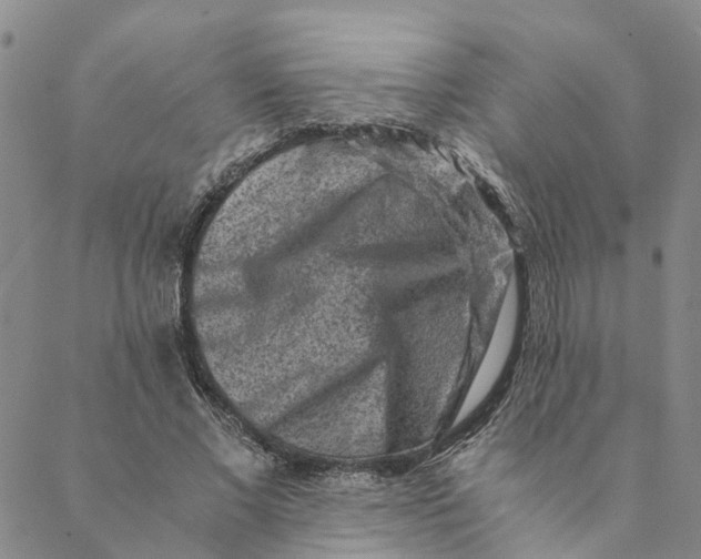 X0000088460685200706121505