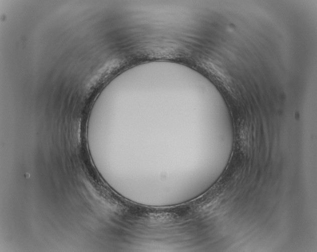 X0000088460686200706121505