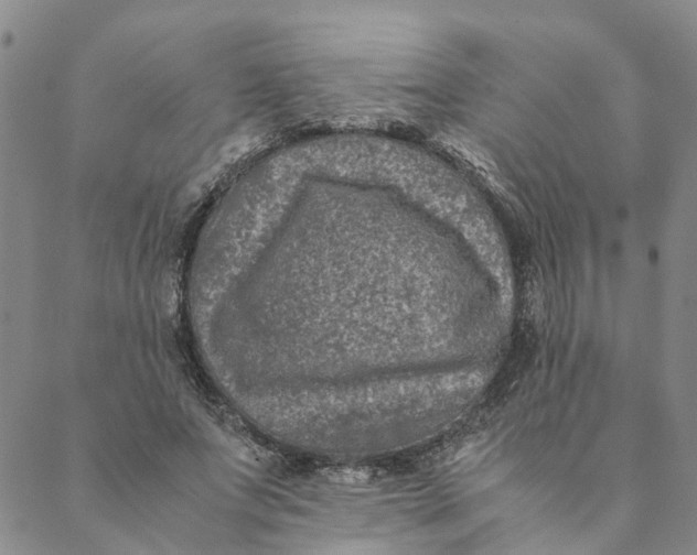 X0000088460687200706121505