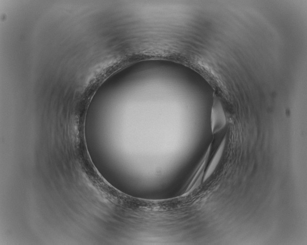 X0000088460688200706121505