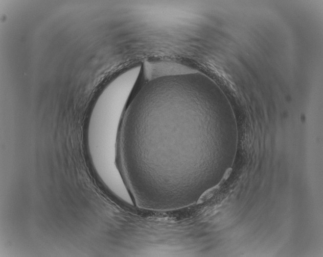 X0000088460689200706121505