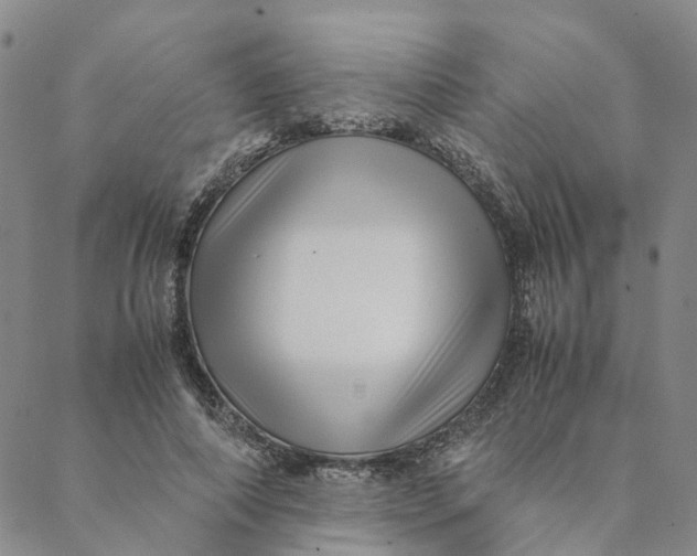 X0000088460690200706121505