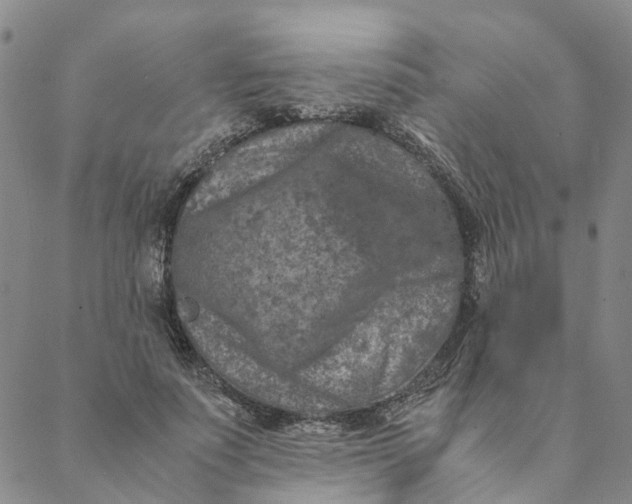 X0000088460691200706121505