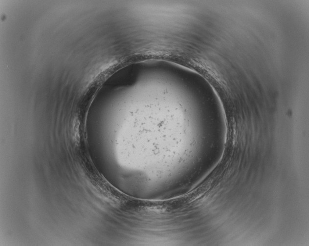 X0000088460692200706121505