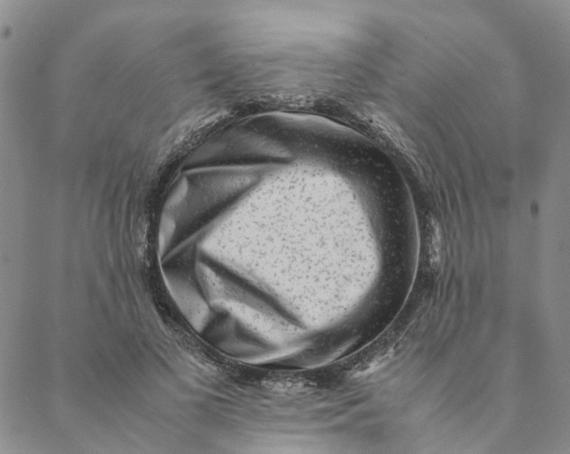 X0000088460693200706121505