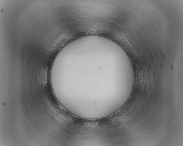 X0000088460694200706121505