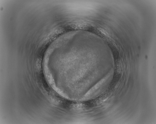 X0000088460695200706121505