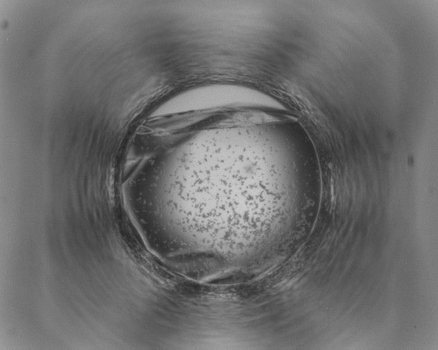 X0000088460696200706121505