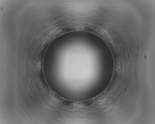 X0000088460697200706121504