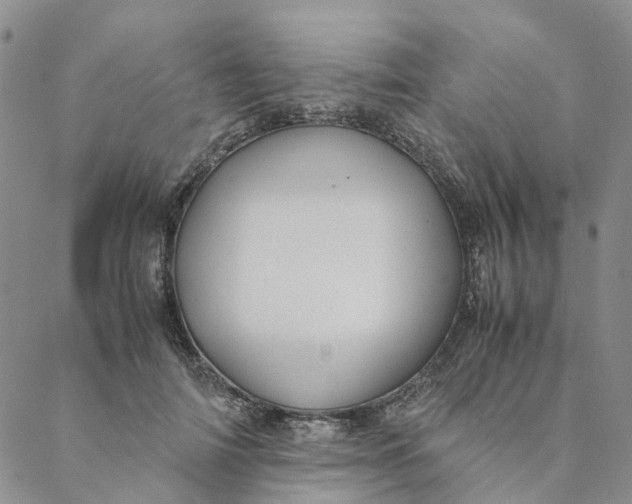 X0000088460698200706121504