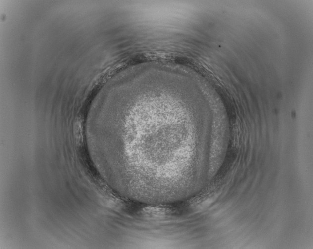 X0000088460699200706121504